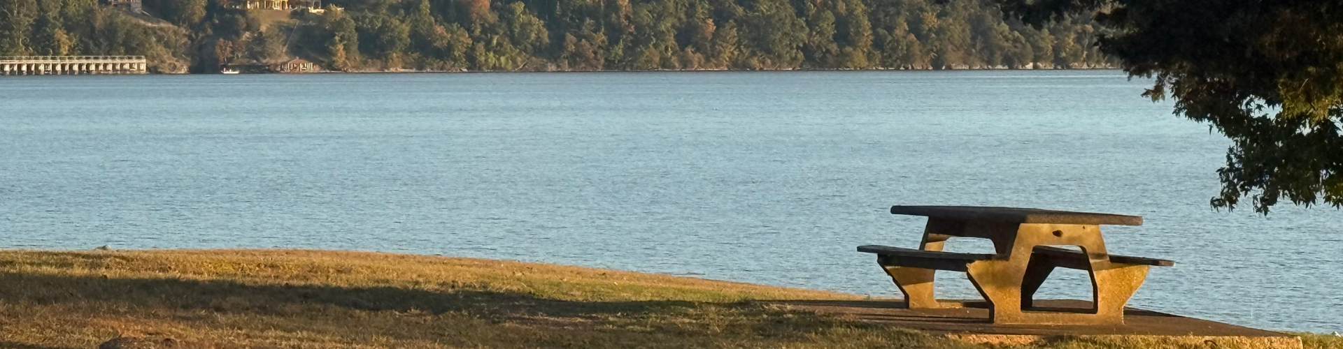 Bobs Discount Pharmacy